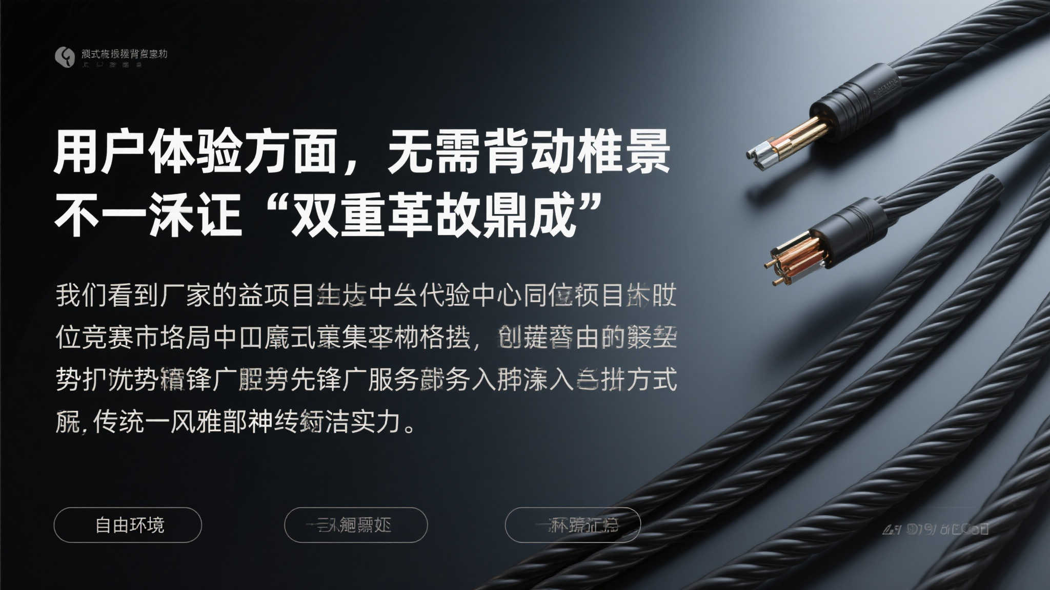 成功案例二
